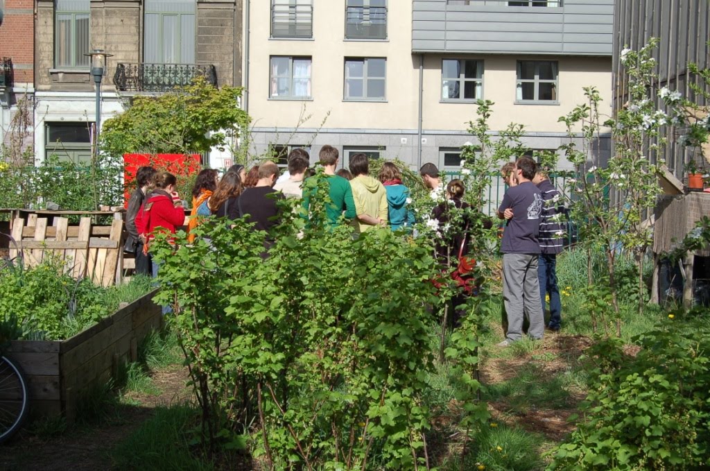 Jardin collectif moineaux (3)